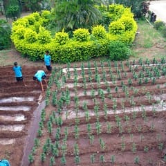 Gardening Activity for Students